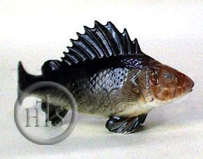 Photo - Lomonosov Porcelain Figurine Ruff Fish Black