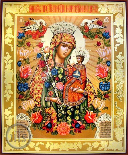 HolyTrinityStore Photo - Virgin Mary the Unfading Blossom (The Fragrant Flower), Orthodox Icon