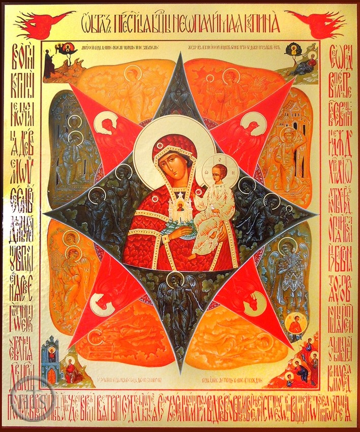 HolyTrinityStore Image - Virgin Mary of The Unburnt Bush, Gold & Silver Foiled Orthodox Icon