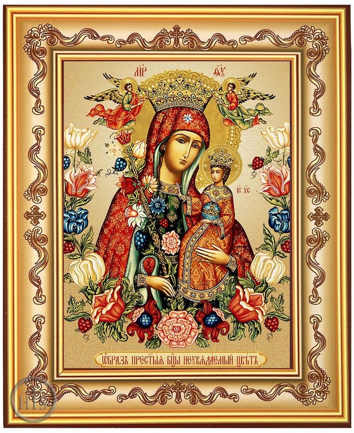 Photo - Virgin Mary the Unfading Blossom, Orthodox Icon in Frame