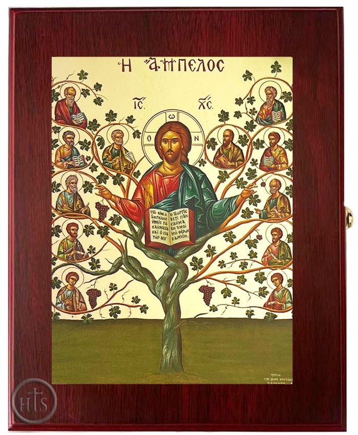 Picture - Christ The Tree of Life Vine, Wall Hanging Sacred Framed Icon Box